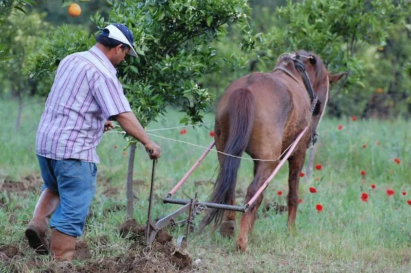 Pastoral Vadi Villa Yaniklar  Farm stay Yaniklar (Mugla)