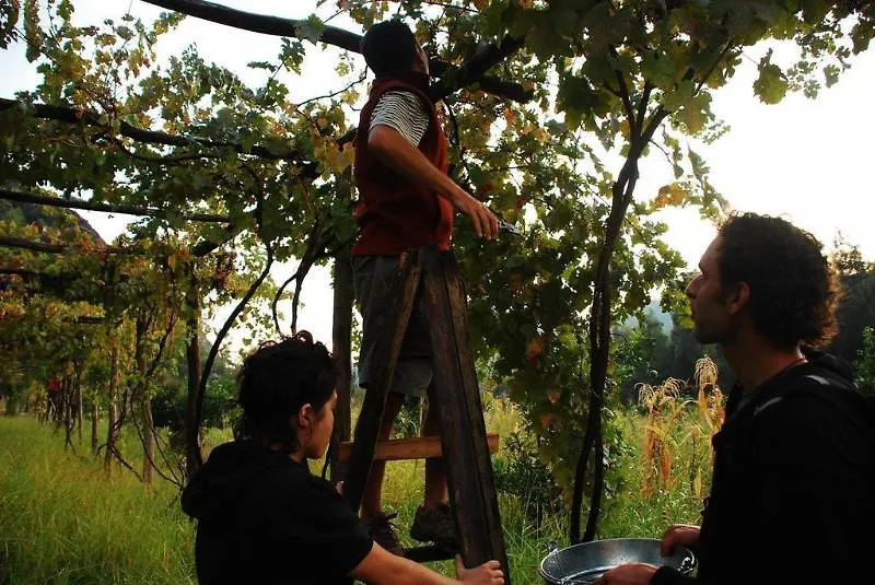 Farm stay Pastoral Vadi Villa Yaniklar  Turkey