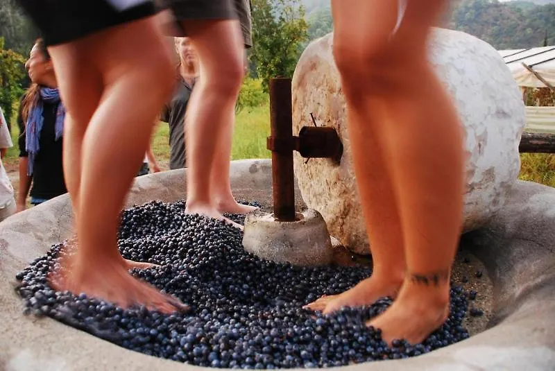 Farm stay Pastoral Vadi Villa Yaniklar