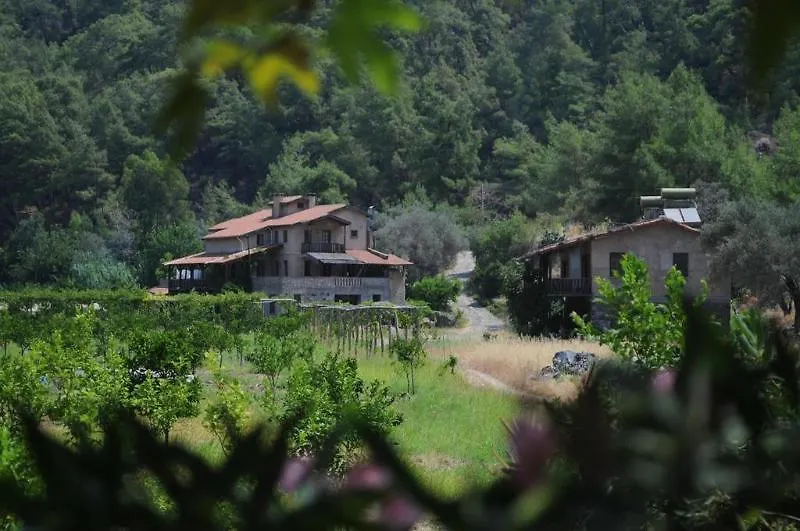 Pastoral Vadi Villa Yaniklar  Farm stay