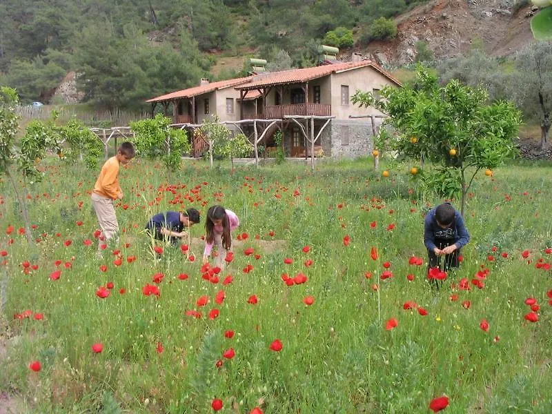 Pastoral Vadi Villa Yaniklar  Turkey
