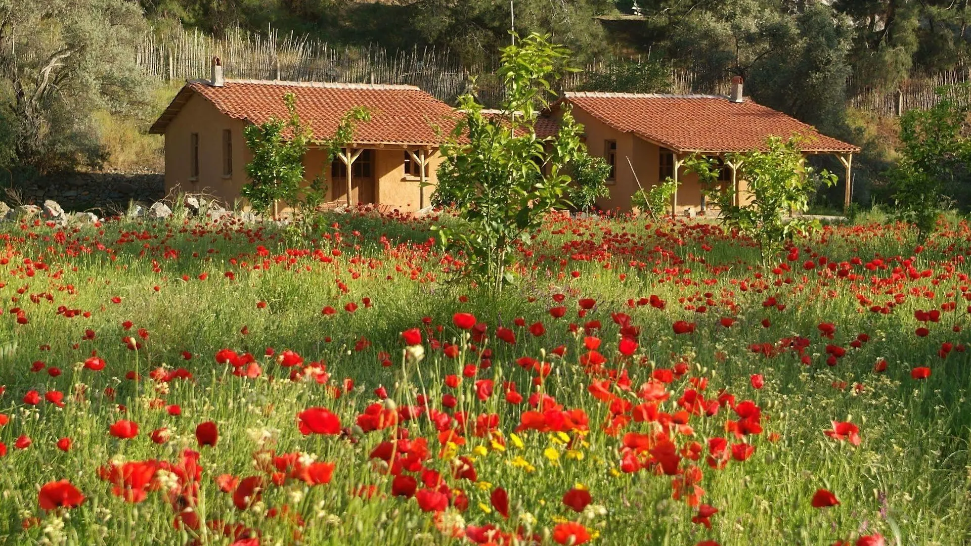 Pastoral Vadi Villa Yaniklar  0*, Yaniklar (Mugla) Turkey