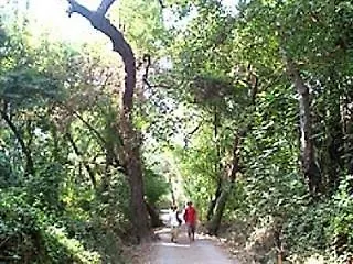 Villa Pastoral Vadi Yanıklar 0*,  Türkei