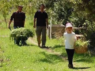 Villa Pastoral Vadi Yanıklar Bauernhof