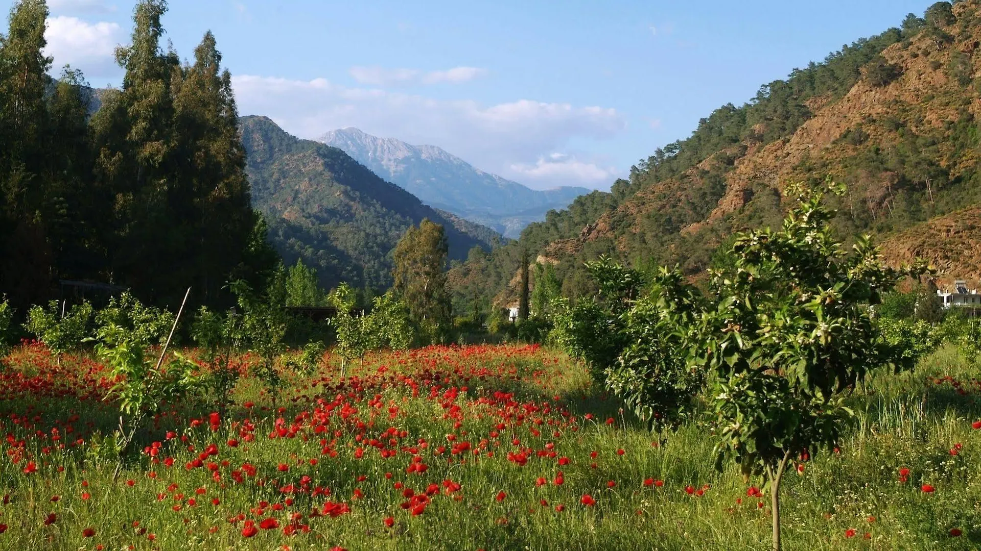 Villa Pastoral Vadi Yanıklar